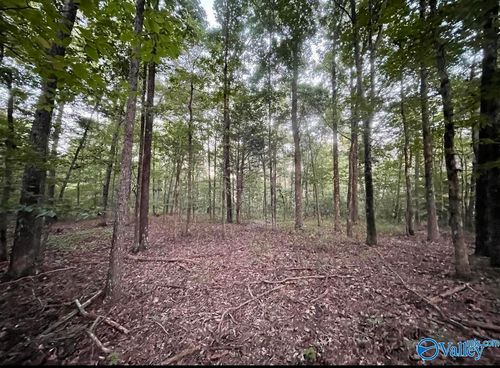 418 Manchester Dr, Guntersville, AL, 35976-6697 | Card Image