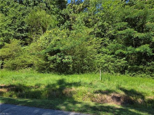 Lot 3 Branch Bridge Street, Branchville, VA, 23828 | Card Image