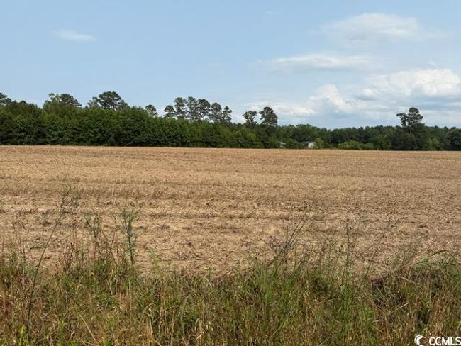 8 Mack Rd, Home with 0 bedrooms, 0 bathrooms and null parking in Conway SC | Image 6