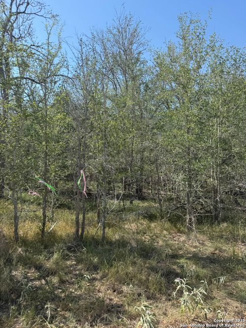 421 Kerr Ave, Sutherland Springs, TX, 78161 | Card Image