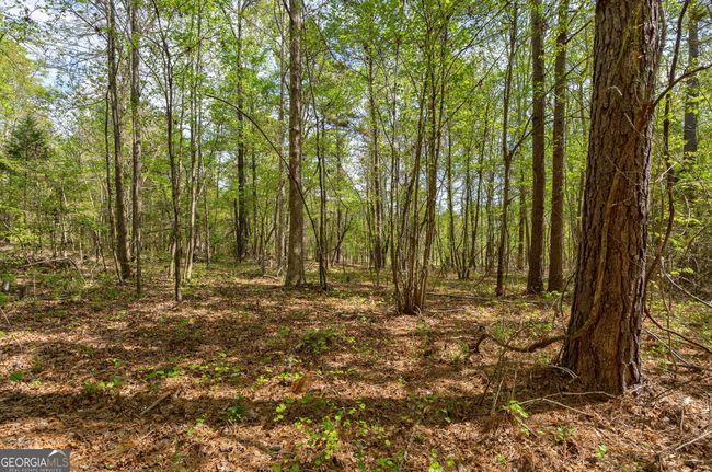 0 Skull Shoals Rd, Home with 0 bedrooms, 0 bathrooms and null parking in Washington GA | Image 17