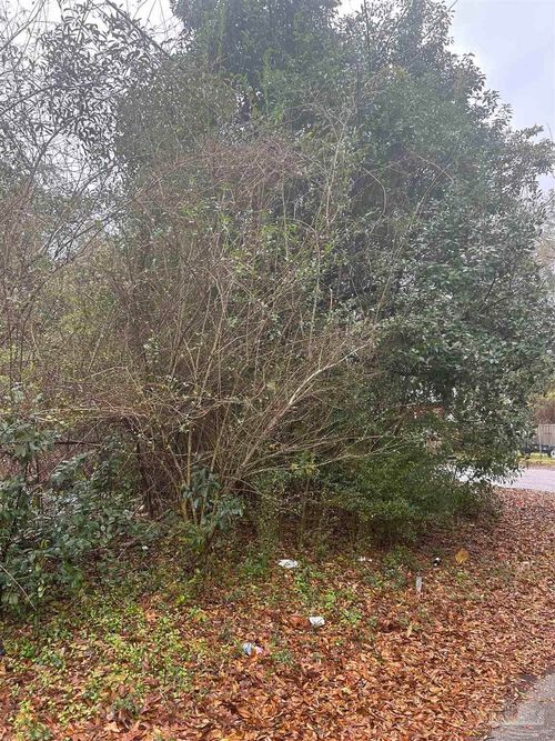 Lot 11, Blk 3 Mcconnell St, Brewton, AL, 36426 | Card Image
