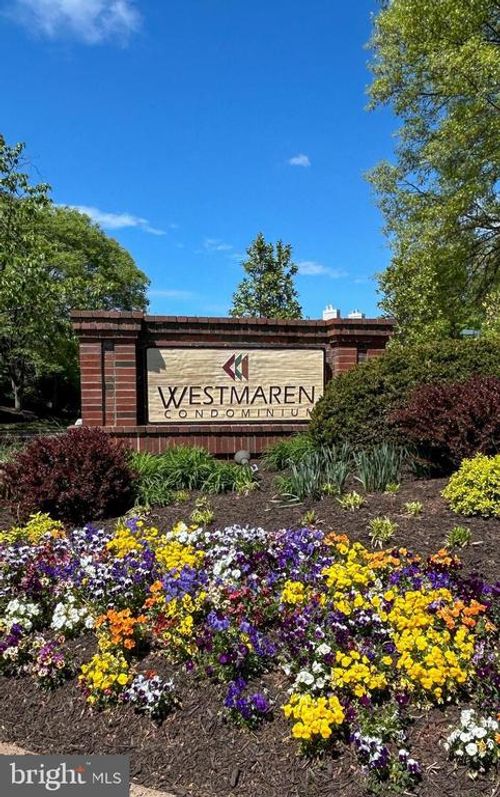203-21019 Timber Ridge Ter, ASHBURN, VA, 20147-7760 | Card Image