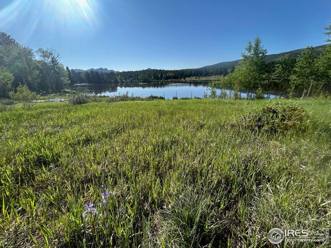 1746 Lump Gulch Rd, House other with 2 bedrooms, 1 bathrooms and null parking in Black Hawk CO | Image 39
