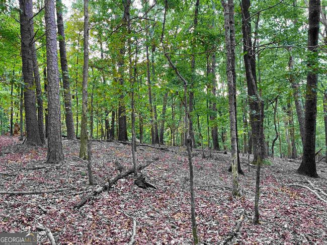 0 Peach Orchard Dr, Home with 0 bedrooms, 0 bathrooms and null parking in Alto GA | Image 24