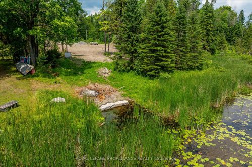 0 Pearce Rd, Kirkfield, ON, K0M2B0 | Card Image