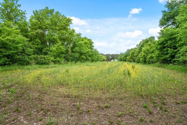 38171 Mica Avenue, House other with 2 bedrooms, 2 bathrooms and null parking in Sunrise Twp MN | Image 47