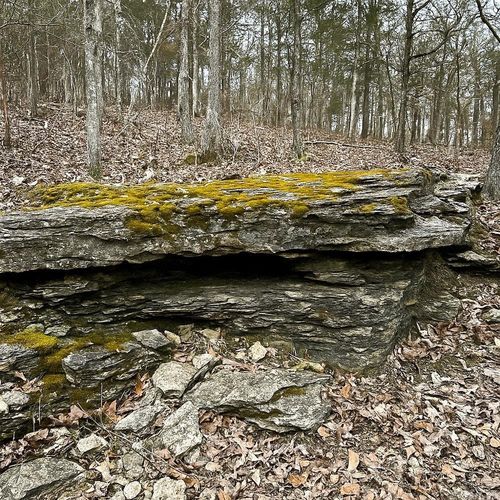 3968 Highway 167, Ash Flat, AR, 72513-9687 | Card Image