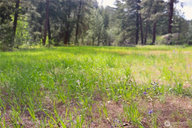 799 Twisp River Rd, Home with 0 bedrooms, 0 bathrooms and null parking in Twisp WA | Image 16