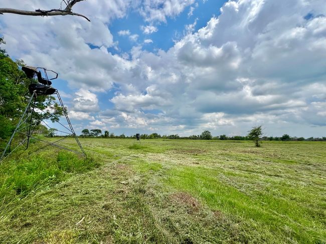 00 Apache Trl, Home with 0 bedrooms, 0 bathrooms and null parking in Angleton TX | Image 10