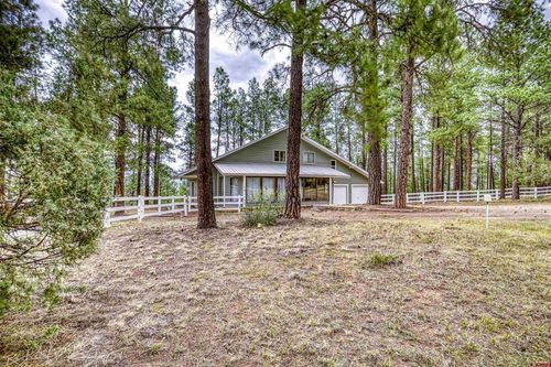 1335 Shenandoah Dr, Pagosa Springs, CO, 81147-8711 | Card Image