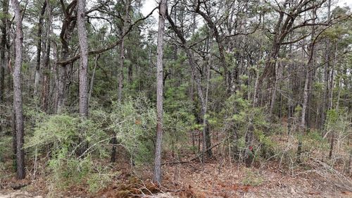 TBD Eureka, Corrigan, TX, 75939 | Card Image