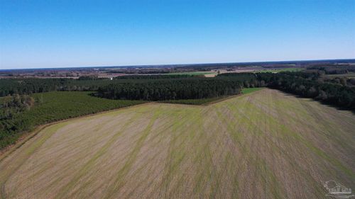 0 Three Mile Rd, Atmore, AL, 36502 | Card Image