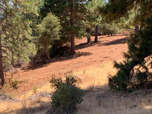 20 Hawkeye Rd, Somerset, CA, 95684 | Card Image