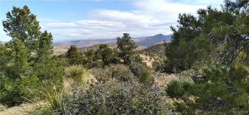 TBD E E. Mountain Springs Road, Hackberry, AZ, 86411 | Card Image