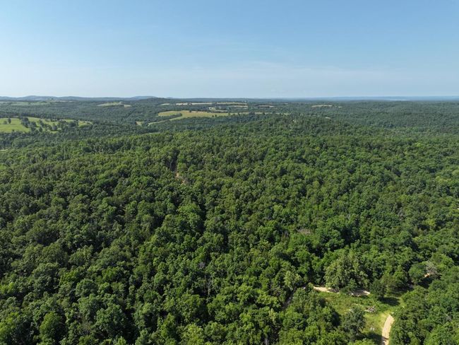 dji_fly_20250620_103524_0033_17504330787 | Image 15