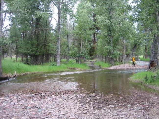 2980 Hwy 83 N, Seeley Lake, Home with 0 bedrooms, 0 bathrooms and null parking in Other-See Remarks MT | Image 6