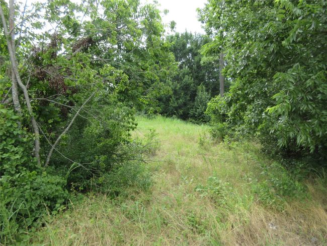 View of undeveloped land | Image 10