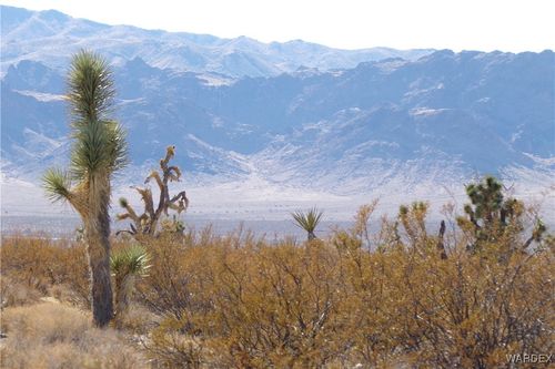 19112 N Pony Rd, White Hills, AZ, 86445 | Card Image