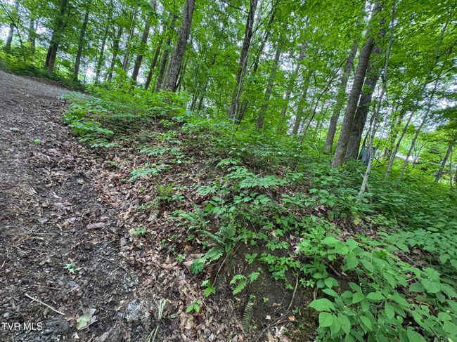 649 Sugar Run Rd, House other with 4 bedrooms, 3 bathrooms and null parking in Jonesville VA | Image 16