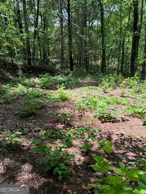 66-67-L66 67 Lynx Court, Ellijay, GA, 30540 | Card Image