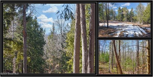 L15 Mountain Meadows Rd, Adirondack, NY, 12808 | Card Image