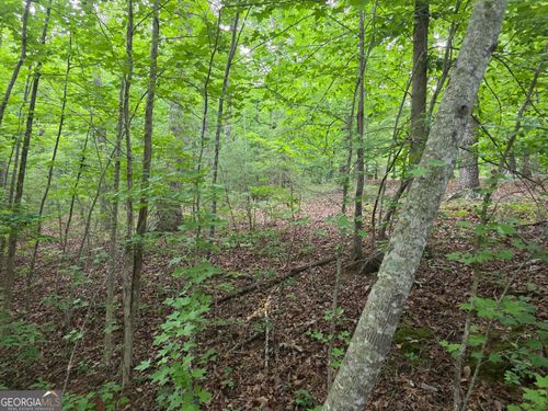2 LOTS Oak Forest Dr, Clarkesville, GA, 30523 | Card Image