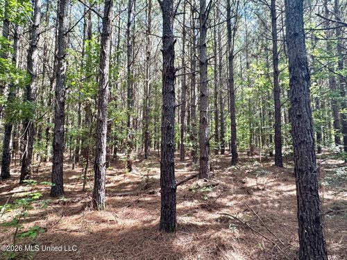 1 Dry Creek Road, Magee, MS, 39111 | Card Image