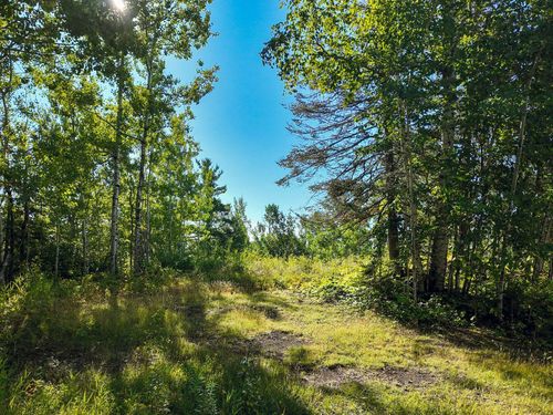 XXX Caspers Hill Rd, Grand Marais, MN, 55604 | Card Image