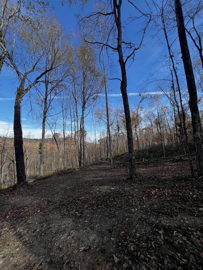 0 Northcutts Cove Rd, Home with 0 bedrooms, 0 bathrooms and null parking in Beersheba Springs TN | Image 18