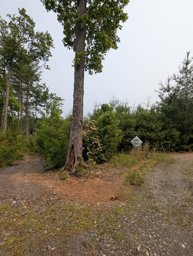 Land in Murphy 3