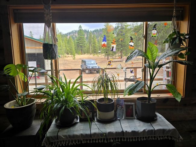 223 E G St, House other with 1 bedrooms, 1 bathrooms and null parking in Sula MT | Image 10