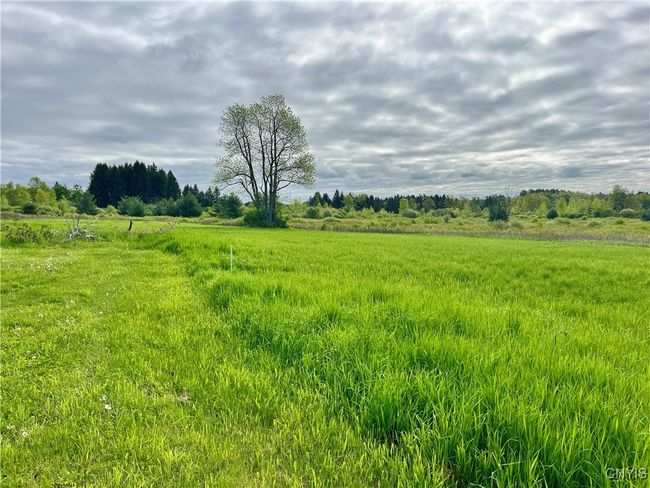 37224 County Route 4, Home with 0 bedrooms, 0 bathrooms and null parking in Clayton NY | Image 13