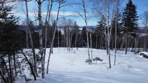 M13/L37 Barbara Lane, Sandy River Plt, ME, 04970 | Card Image