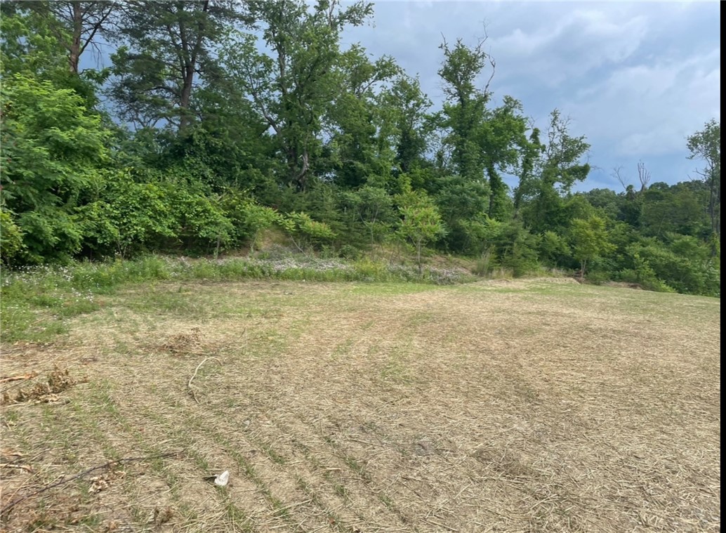 Farm in Center Twp 2