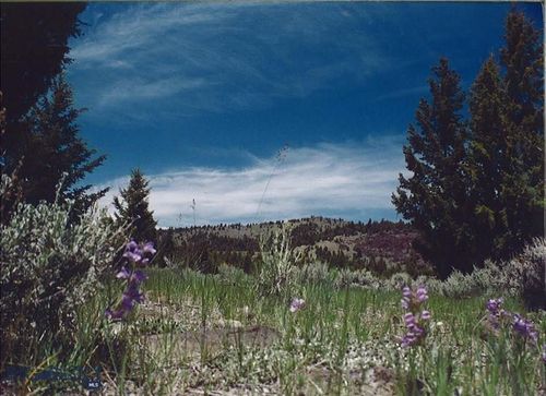 TBD Lookout Trail, Ramsay, MT, 59701 | Card Image