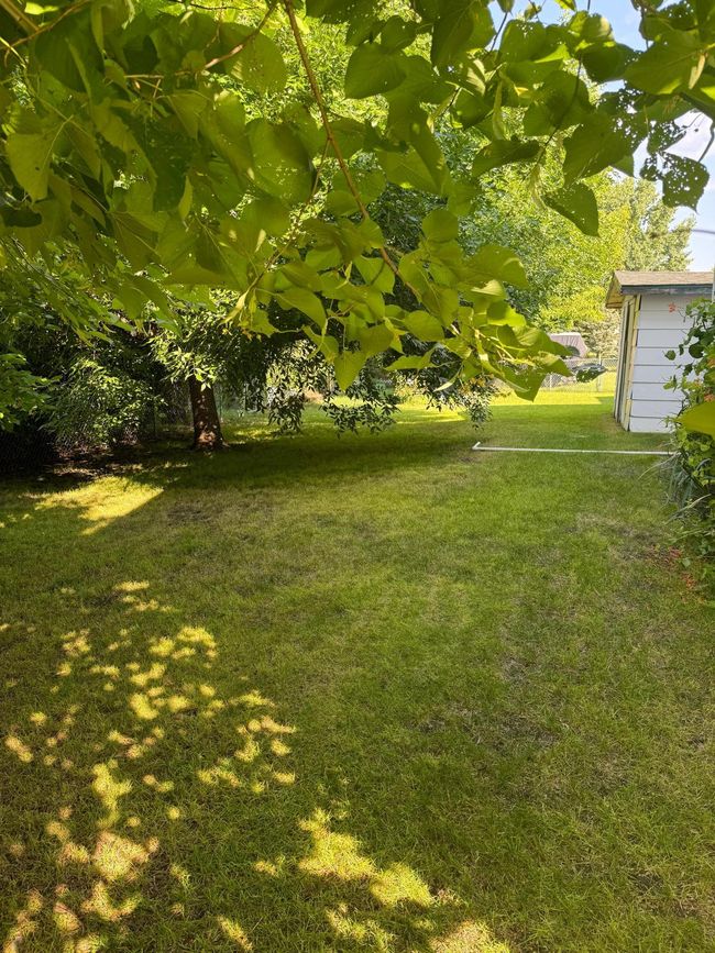 Backyard | Image 51