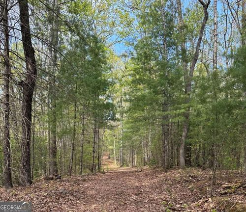 20-LOT 20 Big Pine Ct, Ellijay, GA, 30536 | Card Image