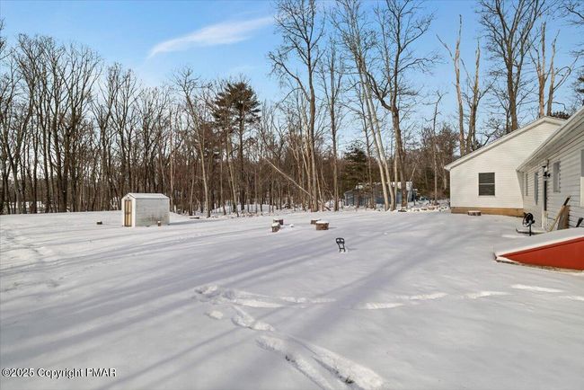 back yard | Image 23