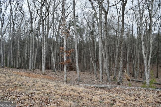 LOT 28 High Summit Dr, Home with 0 bedrooms, 0 bathrooms and null parking in Talking Rock GA | Image 9