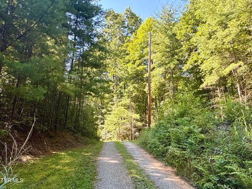 29.38 Acre Bull Mtn Rd Off, Del Rio, TN, 37727 | Card Image