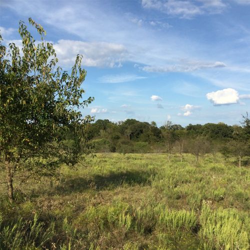 0-40 Ne County Road 2160, Kerens, TX, 75144 | Card Image