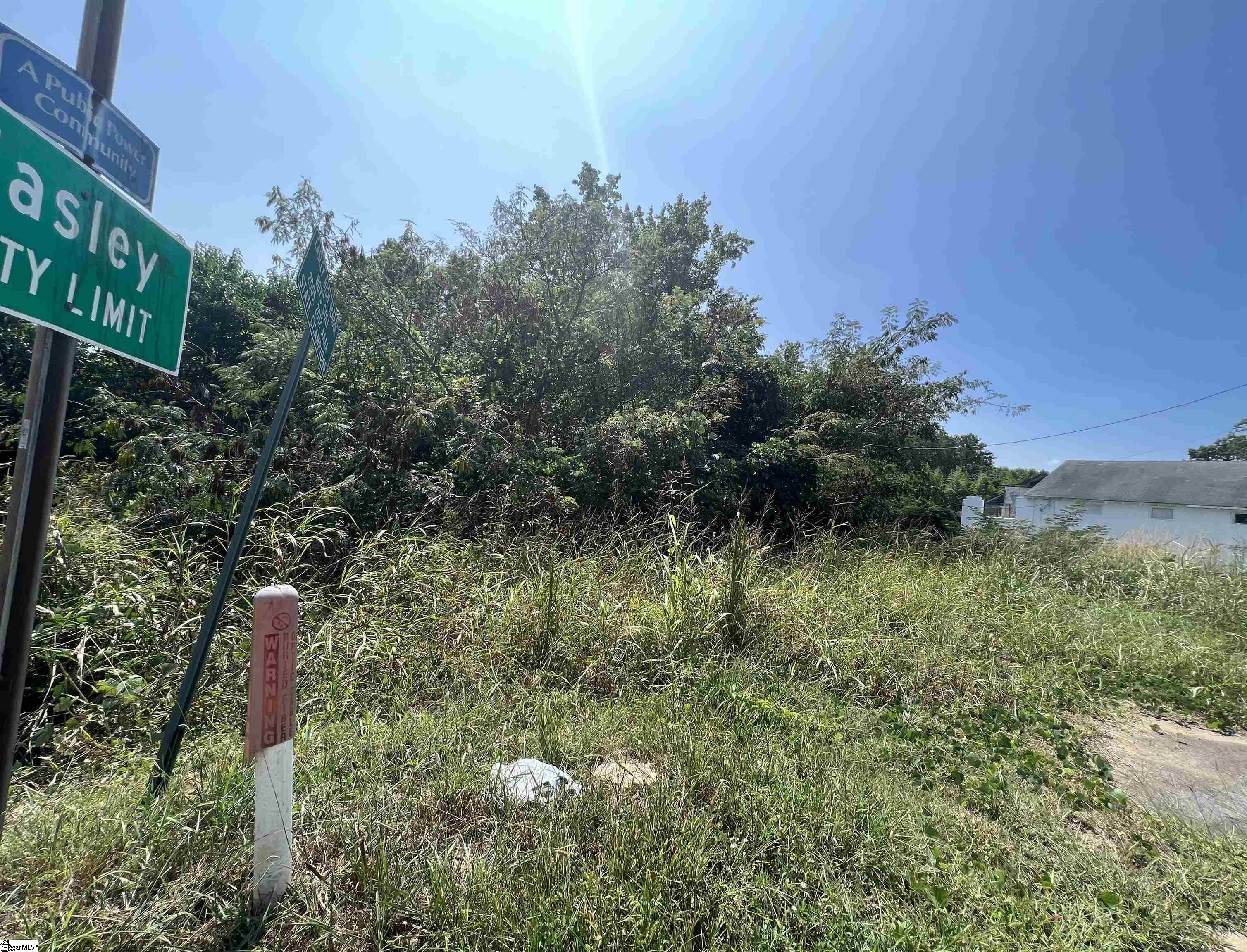 Land in Easley 3