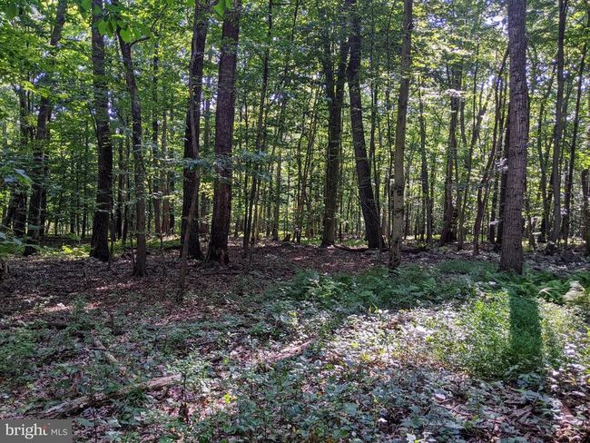 21 Hawthorne Cir, Home with 0 bedrooms, 0 bathrooms and null parking in ELVERSON PA | Image 14