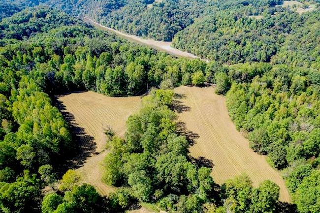 00 Bolestown Loop, Home with 0 bedrooms, 0 bathrooms and null parking in Alpine TN | Image 9
