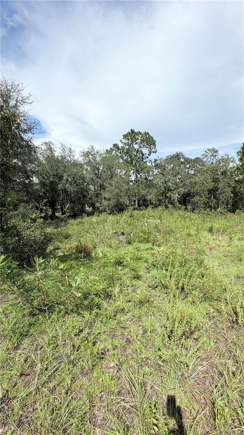 TBD Ne 65th St, WILLISTON, FL, 32696 | Card Image