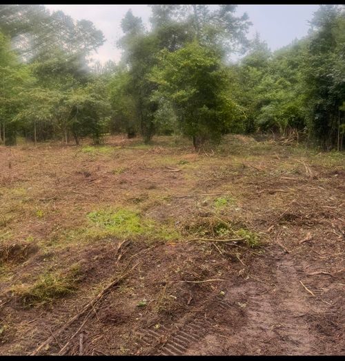 1 Abandon Lane Lane, Summerville, SC, 29486 | Card Image