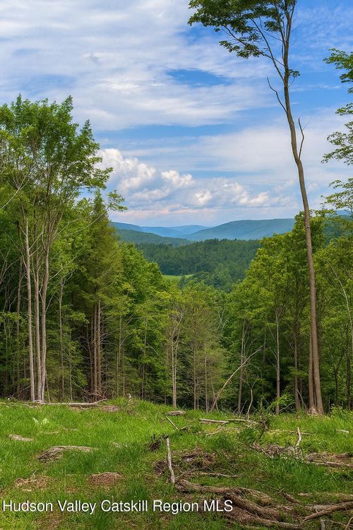 Tbd State Highway 23, Grand Gorge, NY, 12434 | Card Image