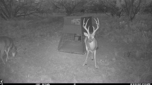 tbd Tbd County Road 291, Breckenridge, TX, 76464 | Card Image