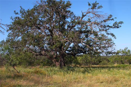 401 Fallow Spur, Melvin, TX, 76858 | Card Image